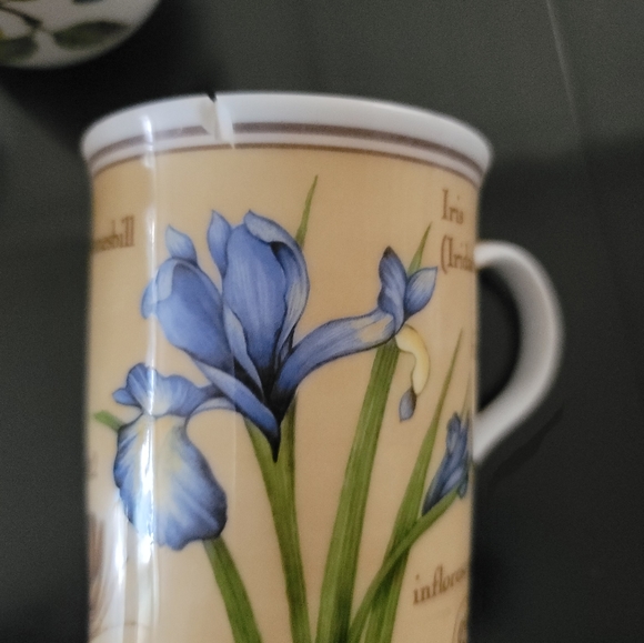 Bone China Tea Cups, lot of 9 - Picture 4 of 4